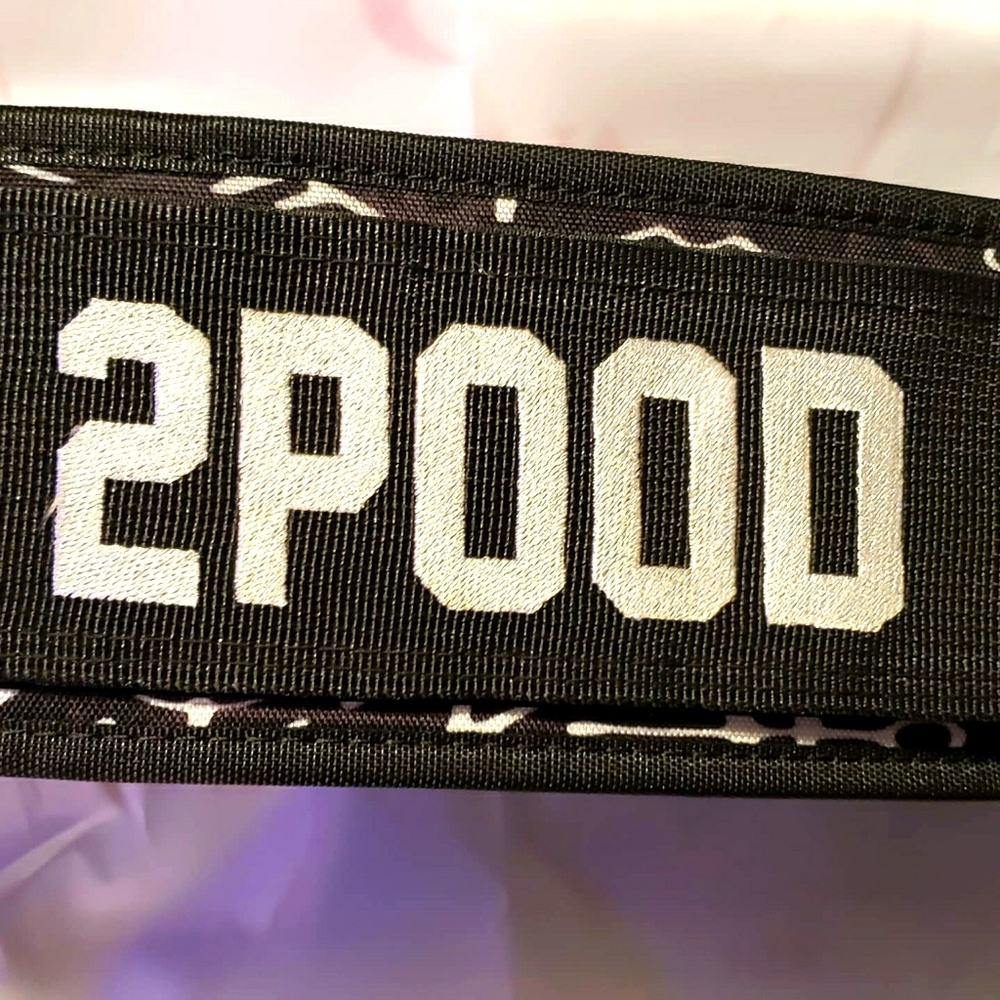 2POOD lifting belt